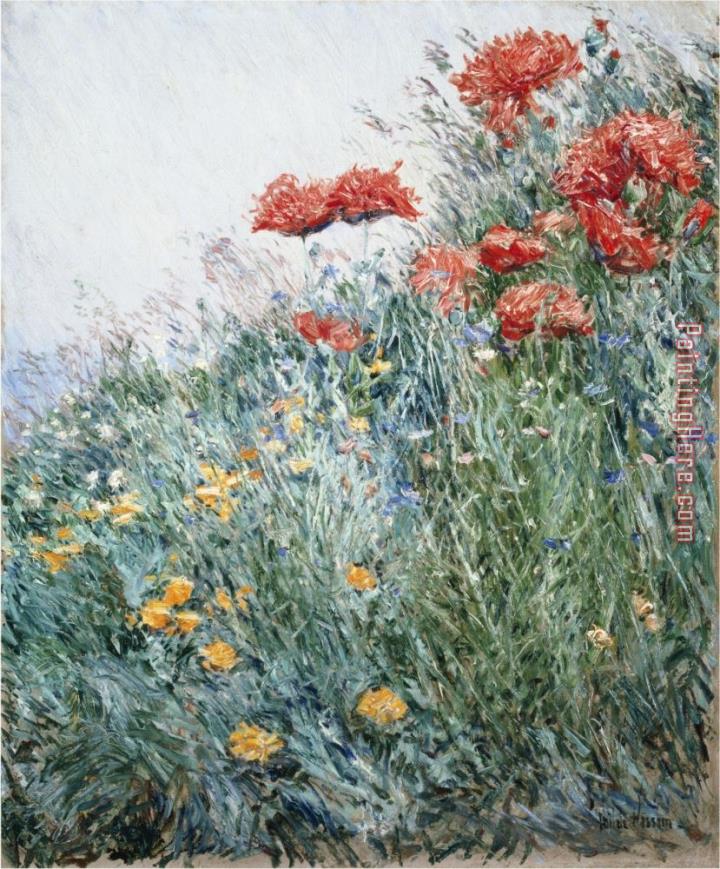 childe hassam Poppies Appledore